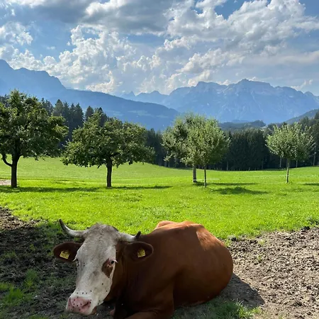Frische Bergluft Und Laendlicher Charme - Ihr Aktiver Urlaub Am Muehlauhof Apartament *
