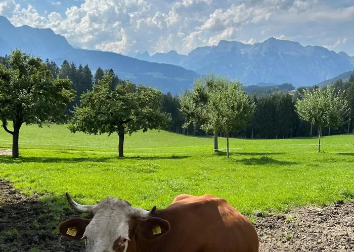 Frische Bergluft Und Laendlicher Charme - Ihr Aktiver Urlaub Am Muehlauhof 아파트 *
