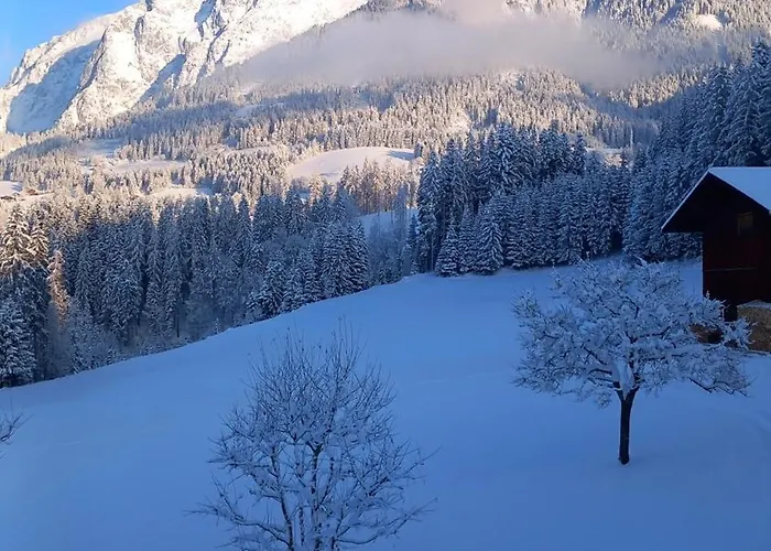 Frische Bergluft Und Laendlicher Charme - Ihr Aktiver Urlaub Am Muehlauhof 아파트 Mühlbach am Hochkönig